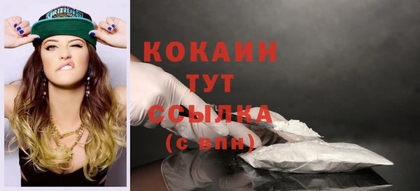 хмурый Касимов