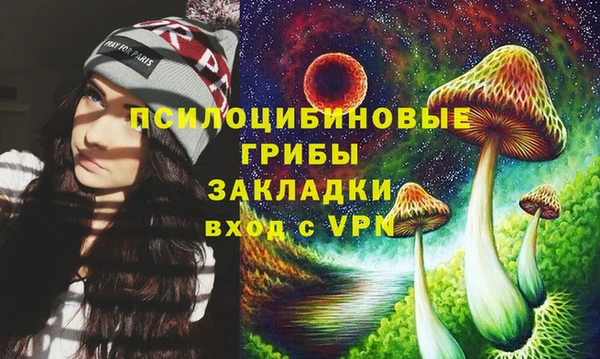 хмурый Касимов