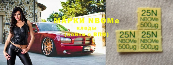 хмурый Касимов