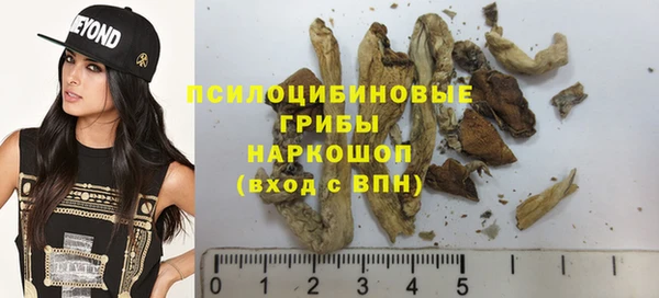 хмурый Касимов
